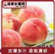 【阿成水果】桃苗選品—日本空運山梨溫室水蜜桃 1盒(6粒/1kg/盒)