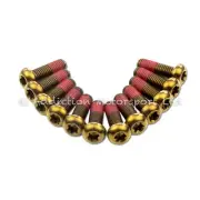 12x KTM 990 Supermoto R 2012-13 Bronze Titanium Front Disc Rotor Bolts Screws