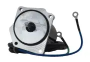 TILT AND TRIM MOTOR FITS YAMAHA F75TLR 4 STROKE ENGINE 2006-UP 6D8-43880-09