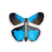 [Heebie Jeebies] Wind-Up Australian Butterflies