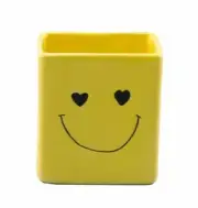 24 Wholesale Smile Face Yellow Rectangle Shape Planter Plant Pots