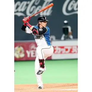 陽岱鋼北海道日本火腿鬥士主場球衣 日本職棒讀賣巨人 Nippon Fighters 大谷翔平王柏融達比修 陽仲壽 NPB