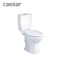 在飛比找Yahoo!奇摩拍賣優惠-『洗樂適台南義林店』凱撒衛浴CAESAR 單段式省水馬桶CT