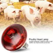 Poultry Heat Incubator Lamp Infra Light Bulb for Brooder Piglet Chicks Hatching