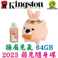 在飛比找蝦皮商城優惠-Kingston 金士頓 64G 64GB 2023年 萌兔