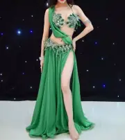 New Professional Belly Dance Costume Custom Oriental made any color/size
