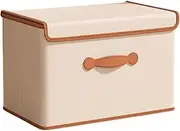 Llazsybz Clothes Storage Box with Lid, Foldable Toy And Underwear Organizer, as described, XL