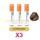X3 New Majirel 4.3 Chestnut Golden L'Oreal Color Permanent Color Hair 3PZ