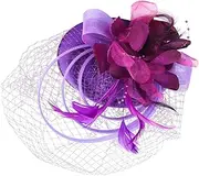 [CANIGHT] Fascinator Hat Clip Headband for Tea Party Elegant Retro Design with Plume and Netting Lightweight Hair Accessory for Women for Weddings Cocktails and Special Occasions