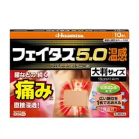 在飛比找比比昂日本好物商城優惠-久光製藥HISAMITSU 溫感肌肉關節止痛酸痛貼布大尺寸 