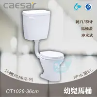 在飛比找蝦皮購物優惠-含稅 附發票《中部免運》CAESAR凱撒衛浴 CT1026-