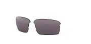 BRAND NEW OAKLEY Flak XS Youth Fit Replacement Lens Prizm Grey Lenses AOJ9005LS