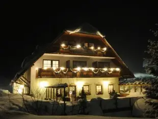 Hotel & Restaurant Gruner Baum - Die Grune Oase Am Feldberg