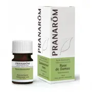 Essential Oils Pranarôm Damask Rose Essential Oil 2ml
