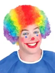 Halloween Men's & Womens Colorful Clown Wig