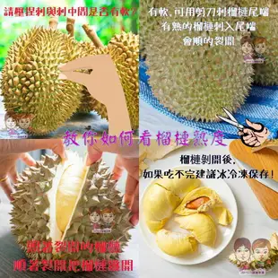 【緁迪水果JDFruit】泰國貓山王榴槤(4~8顆入/9Kg)｜嚴選 托曼尼榴槤 帶殼馬來西亞貓山王榴槤 免運費 進口水果 l