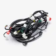 Single Plug ECU Wiring Loom for CL125T-E5 for Lexmoto, Taro CMPO Loom Loom Black