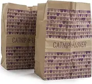 SmartyKat (2 Count Catnip Caves Catnip Infused Bag Cat Toys - Brown, 2 Count