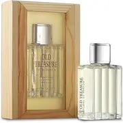 Old Treasure Perfume For Unisex 100 ML