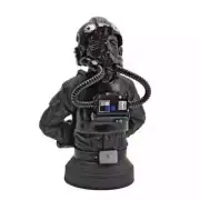 Gentle Giant Star Wars Tie Fighter Pilot Chase MINI Bust - 2227/4200 - NEW