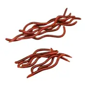Realistic Earthworm Soft Bait Set of 20 for Improved Catching Opportunities