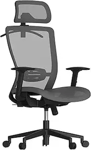 FLEXISPOT OC3B Ergonomic Executive Mesh Office Chair Swivel Height Adjustable Seat Headrest Armrest Lumbar Support Caster Wheels Task Chair Gray Mesh Seat Computer Office DeskChair