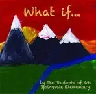 WHAT IF ? - SPRINGVALE