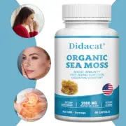 Organic Seaweed Capsules - Irish Seaweed, Burdock Root