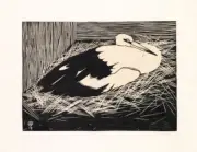 Maguari Stork [woodcut] : Samuel de Mesquita : 1914 : Art Print