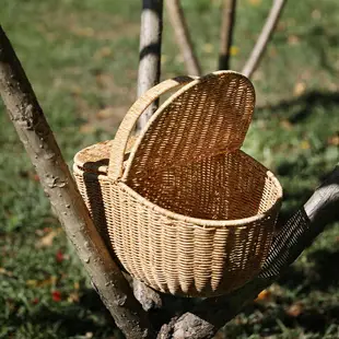 大號帶蓋野餐籃 仿藤編菜籃送餐籃網紅手提籃戶外郊游INS風水果籃