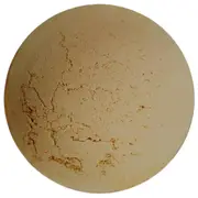 Angel minerals Minisize Beryl Intense Foundation (2 g)