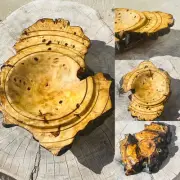 Buckeye Burl Wooden Winged Bowl 7.5x6x2”Handcrafted Centerpiece One Of A Kind