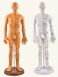 在飛比找樂天市場購物網優惠-月末促銷~政河針灸穴位人體模型經絡穴位模特圖全身中醫十二銅人