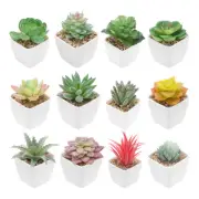 Artificial Succulents Set, 12Pcs Artificial Plant in Pot, Colored