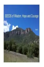 SEEDS of Wisdom, Hope and Courage II: Inspirational Guidance to enrich your