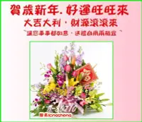 在飛比找Yahoo!奇摩拍賣優惠-台北龍昇網路花店【B-80710賀年盆花】~新年好運. 旺旺