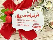 10 Kraft White Gift Tags Christmas SPECIAL DELIVERY Present gift Secret Santa