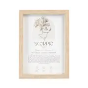 Splosh Mystique Framed Print Scorpio Standing/Hanging Zodiac Home Decor 20x33cm