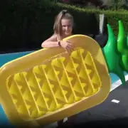 Bemuiz Giant Pineapple Pool Party Float Raft Summer Beach Swimming Pool Infla...