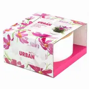 UrbanGreens Pot of Flowers Kit - Cosmos