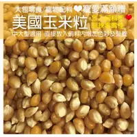 在飛比找蝦皮購物優惠-玉米粒200g/包【大包零食/飼料配料寵愛滿額贈】新鮮包裝販