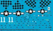 Peddinghaus 1/48 P-47D Thunderbolt '11' Markings Herschel Green Italy 1944 2963