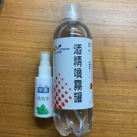 在飛比找蝦皮購物優惠-「現貨」活那凌75%酒精噴霧罐420ml