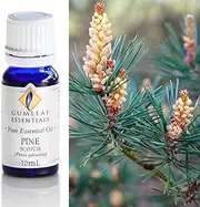 Gumleaf Essentials Pine Scotch Essential Oil - 10ml, Cruelty Free & Vegan, 100% Pure & Natural
