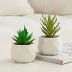 Fake Plants Artificial Succulent Bonsai Mini Simulation Bonsai Home Decor