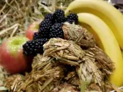 I'm Your Bunny Rabbit Banana Apple Blackberry & Oaten Hay Krispy Krumble (12Pce)