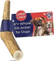 (Whole, Large 15cm - 23cm) - Premium Elk Antlers for Dogs by Doggie Dealz All Natural Antler Dog Chew Organic, Healthy & Long Lasting Dog Treat Wild Sourced in The USA