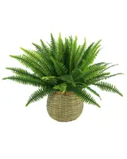 Creative Displays Fern Floral Display