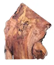 SPALTED MAPLE BURL SLAB TURNING CRAFTING WOODWORKING APPROX 19x14x1 IN