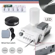 Woodpecker Style LED Denta Ultrasonic Piezo Scaler Fit Cavitron EMS +Tips+Bottle